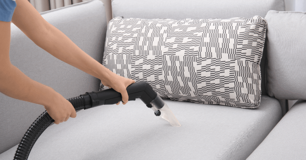 carpet and upholstery cleaning services